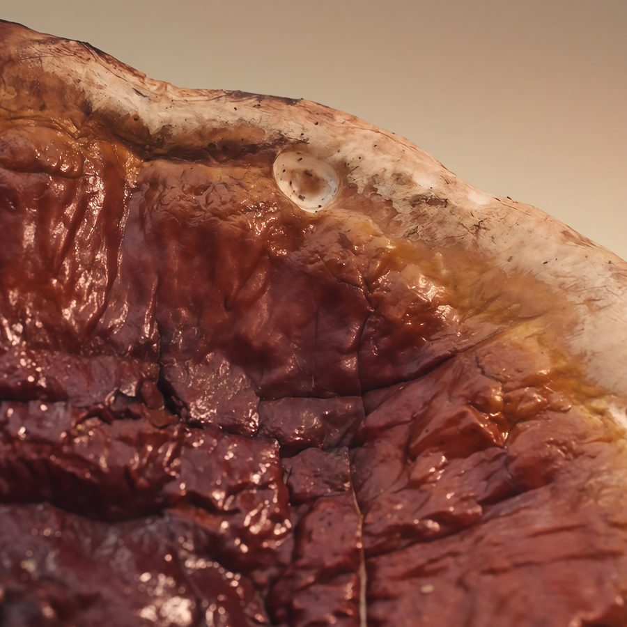 Reishi
